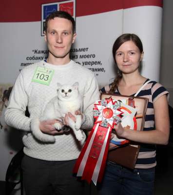 �������� ����� '������� ���-�����' 30 ������-1 ������� 2013., WCF-����� 3921